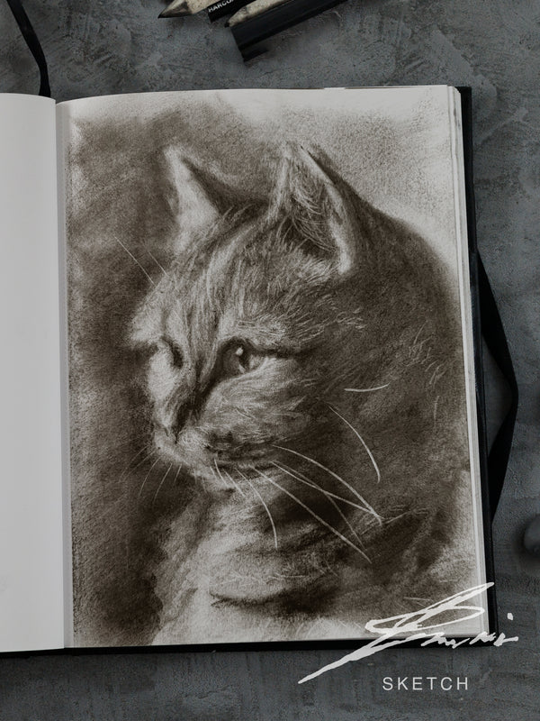 American Shorthair 01 / Sketch limitierte Auflage