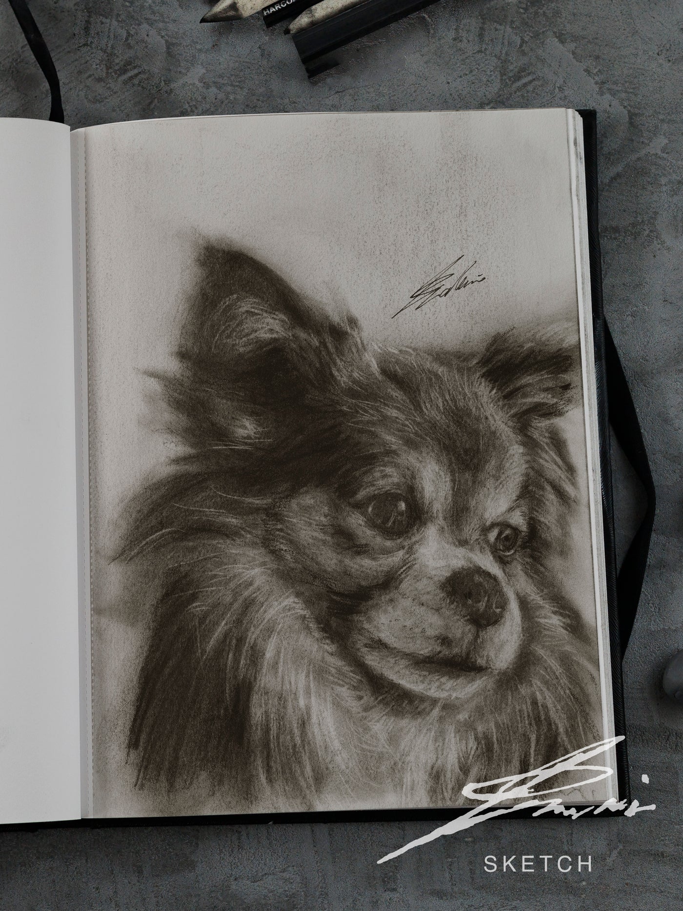 Chihuahua 02 / Sketch limited printing