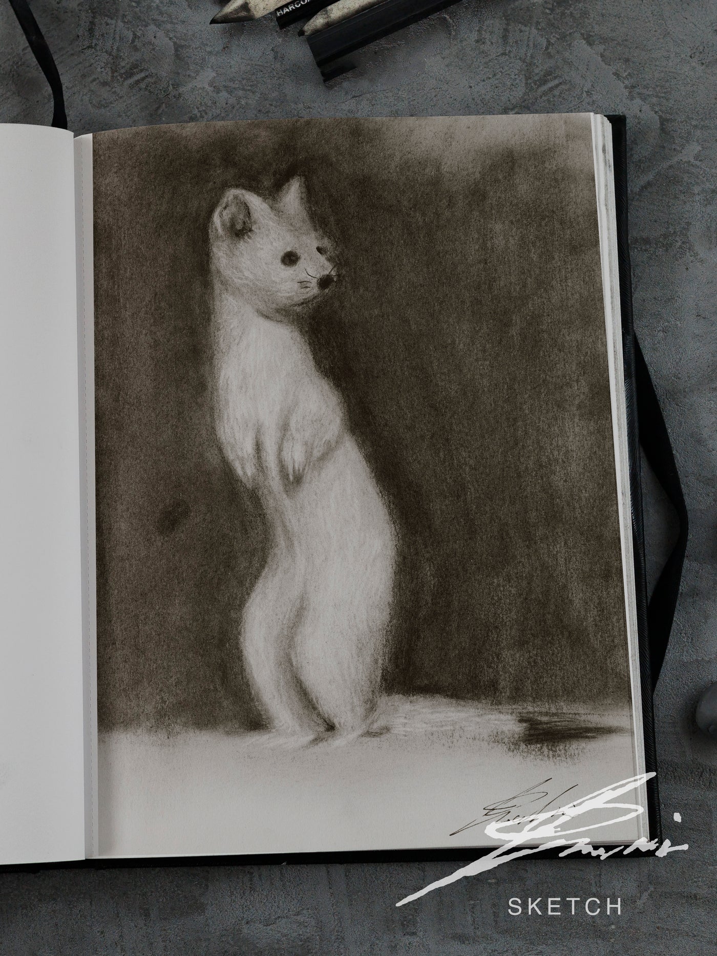 Ermine / Sketch limited printing