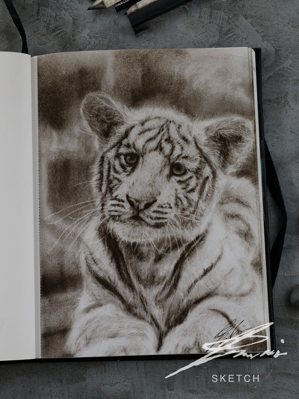 White tiger 02 / Sketch limited printing