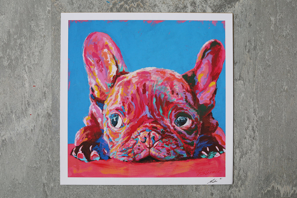 French bulldog | Limited Edition Print
