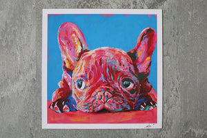 French bulldog | Limited Edition Print