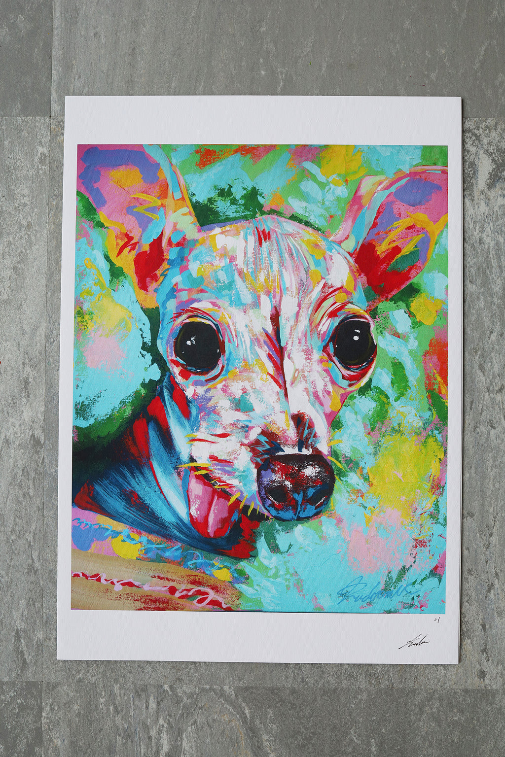 Italian greyhound 06 | Limited Edition Print