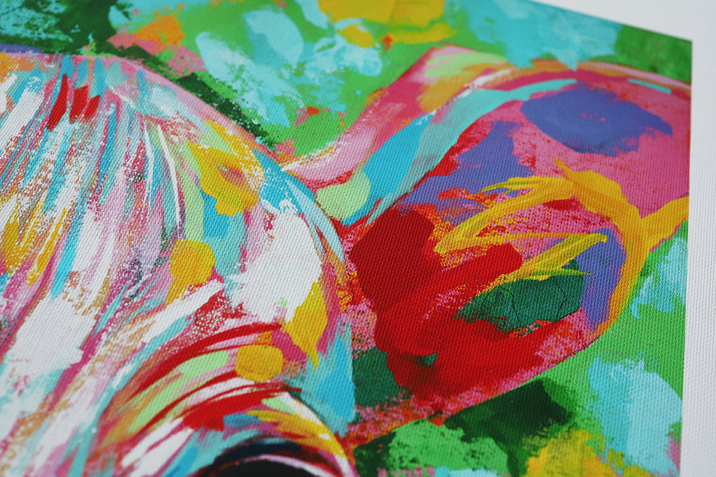 Italian greyhound 06 | Limited Edition Print