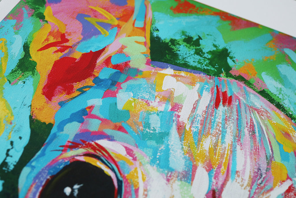 Italian greyhound 06 | Limited Edition Print