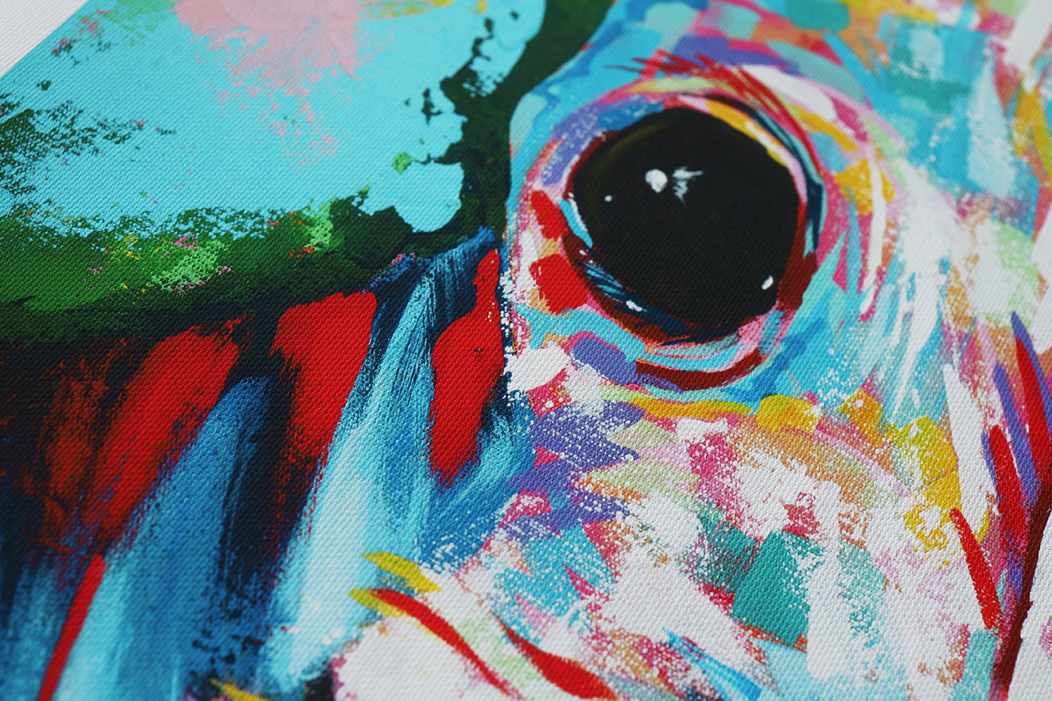 Italian greyhound 06 | Limited Edition Print