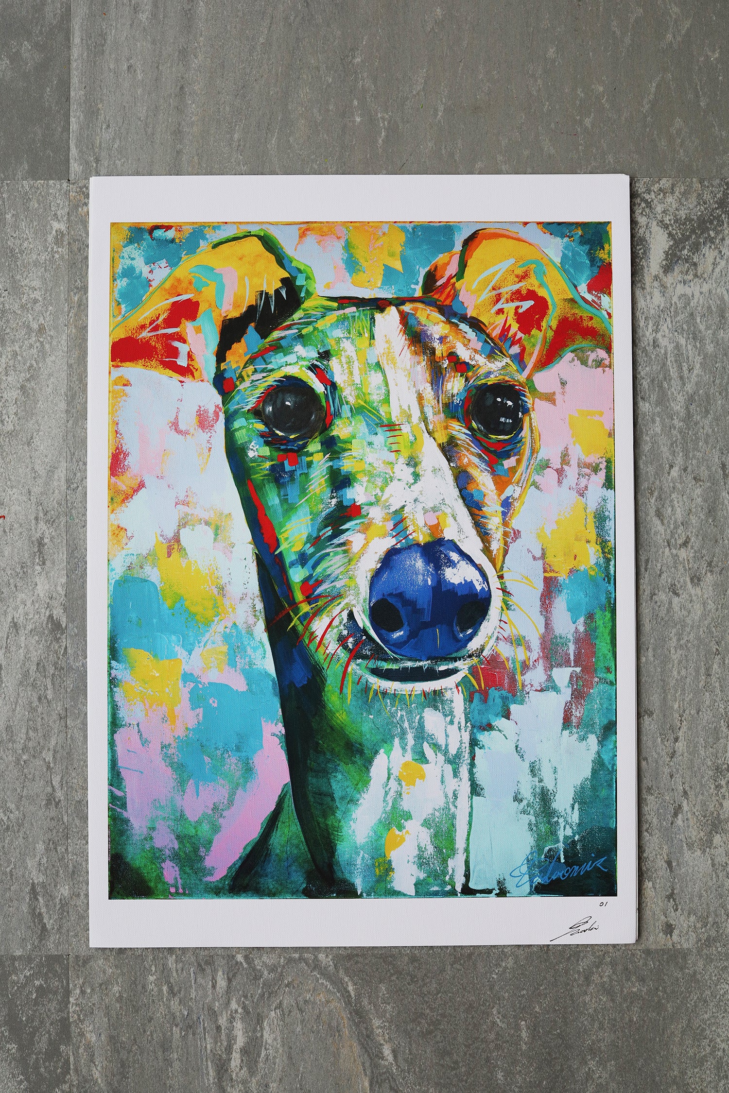 Italian greyhound 02 | Limited Edition Print