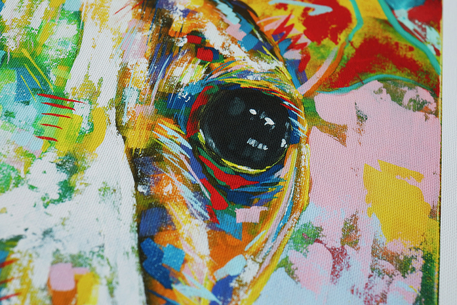 Italian greyhound 02 | Limited Edition Print