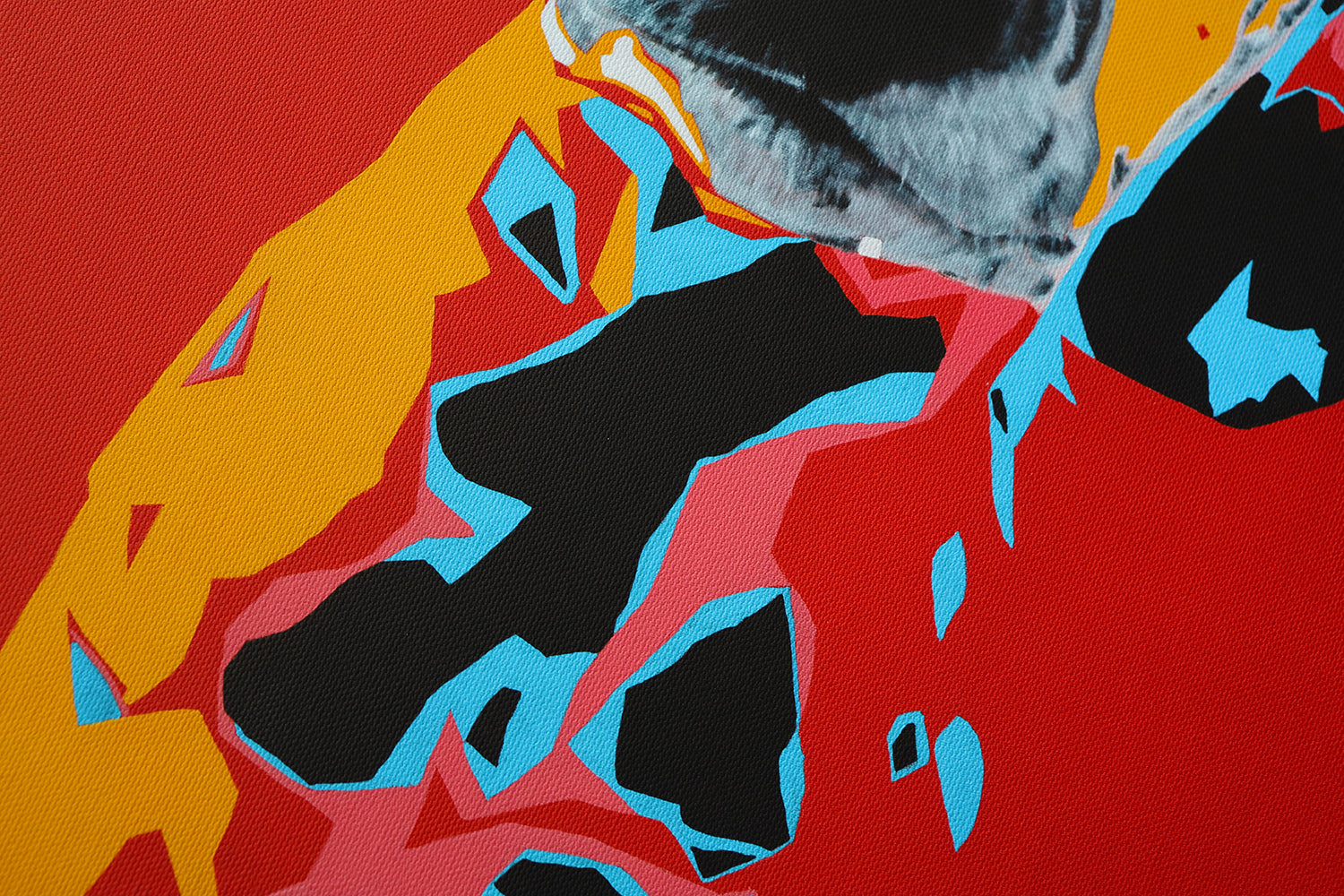 Dalmatian -Flower crown- | Limited Edition Print