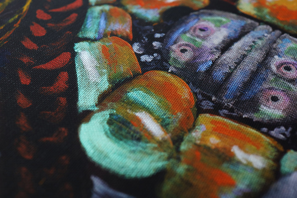 Berber – Amazigh in Morocco | Hand-Finished Limited Edition Print