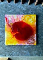 Gerbera  Yellow  - Ultimate Beauty -