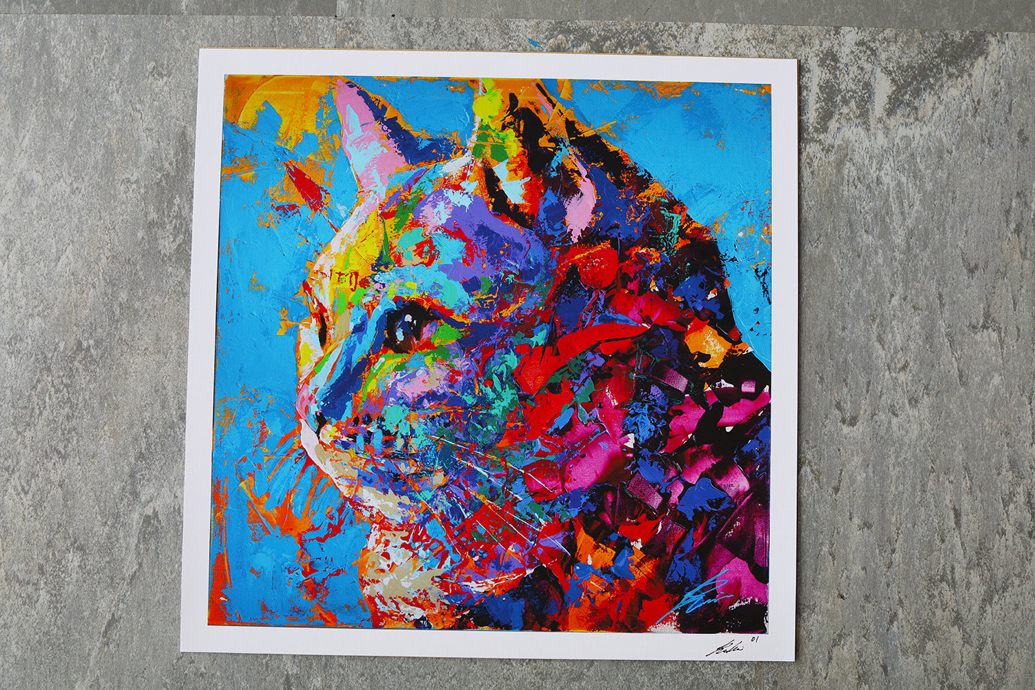 American shorthair | Limited Edition Print