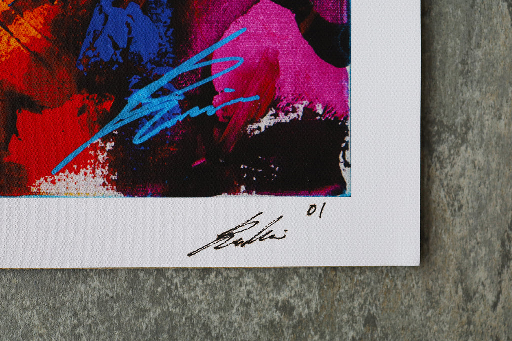 American shorthair | Limited Edition Print