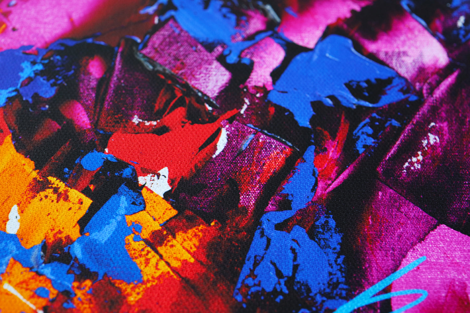 American shorthair | Limited Edition Print