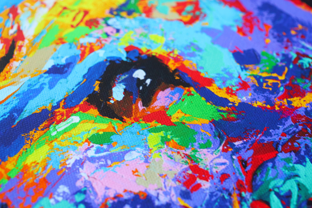 American shorthair | Limited Edition Print