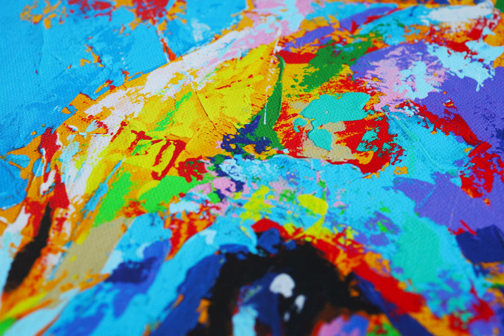 American shorthair | Limited Edition Print