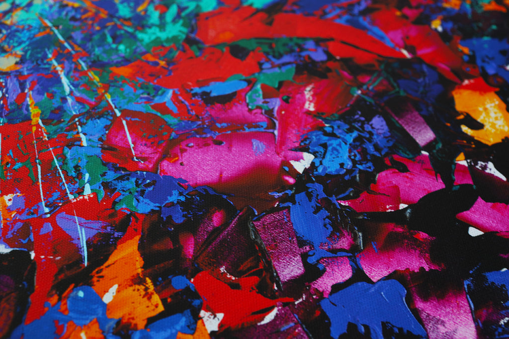 American shorthair | Limited Edition Print