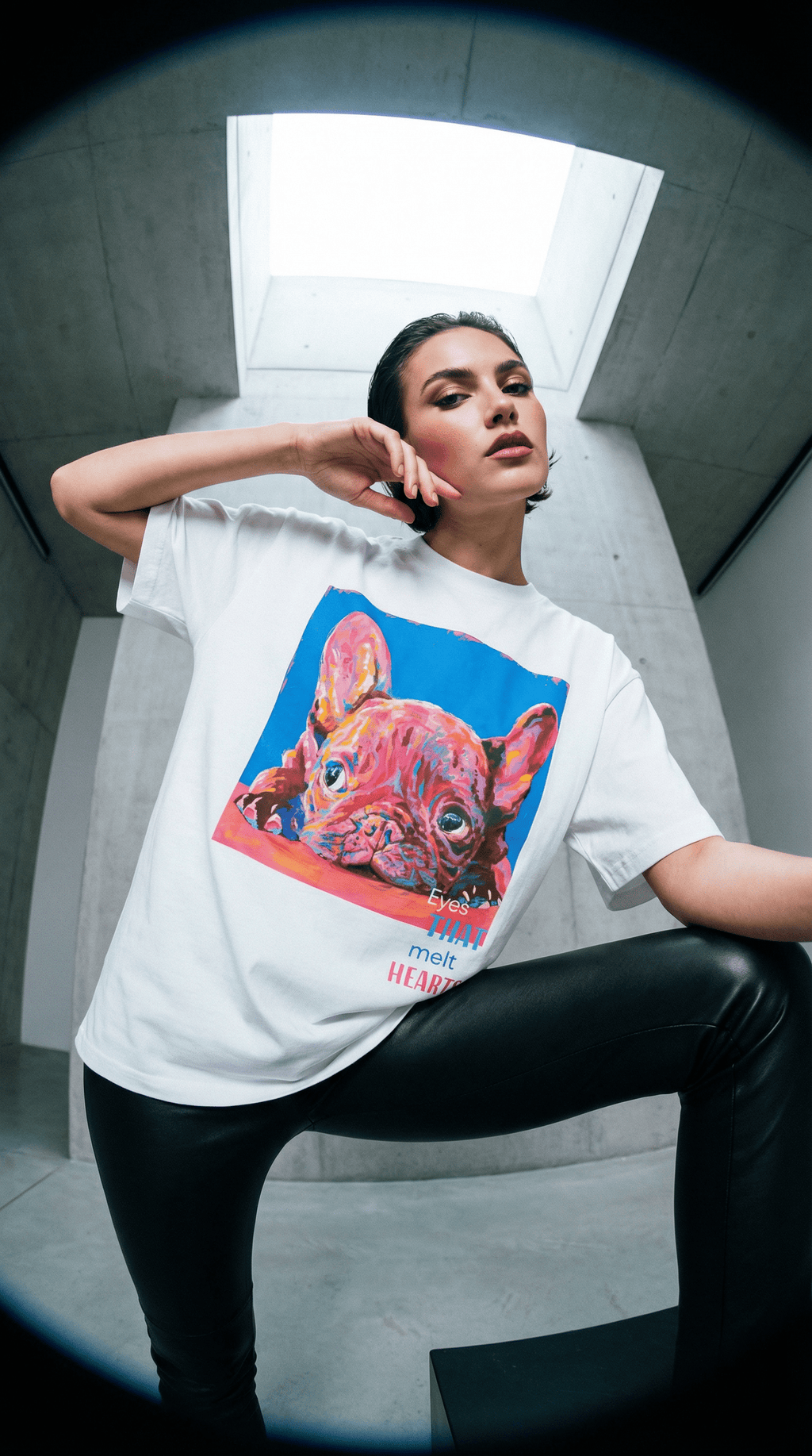 French bull W / SIGNATURE LABEL