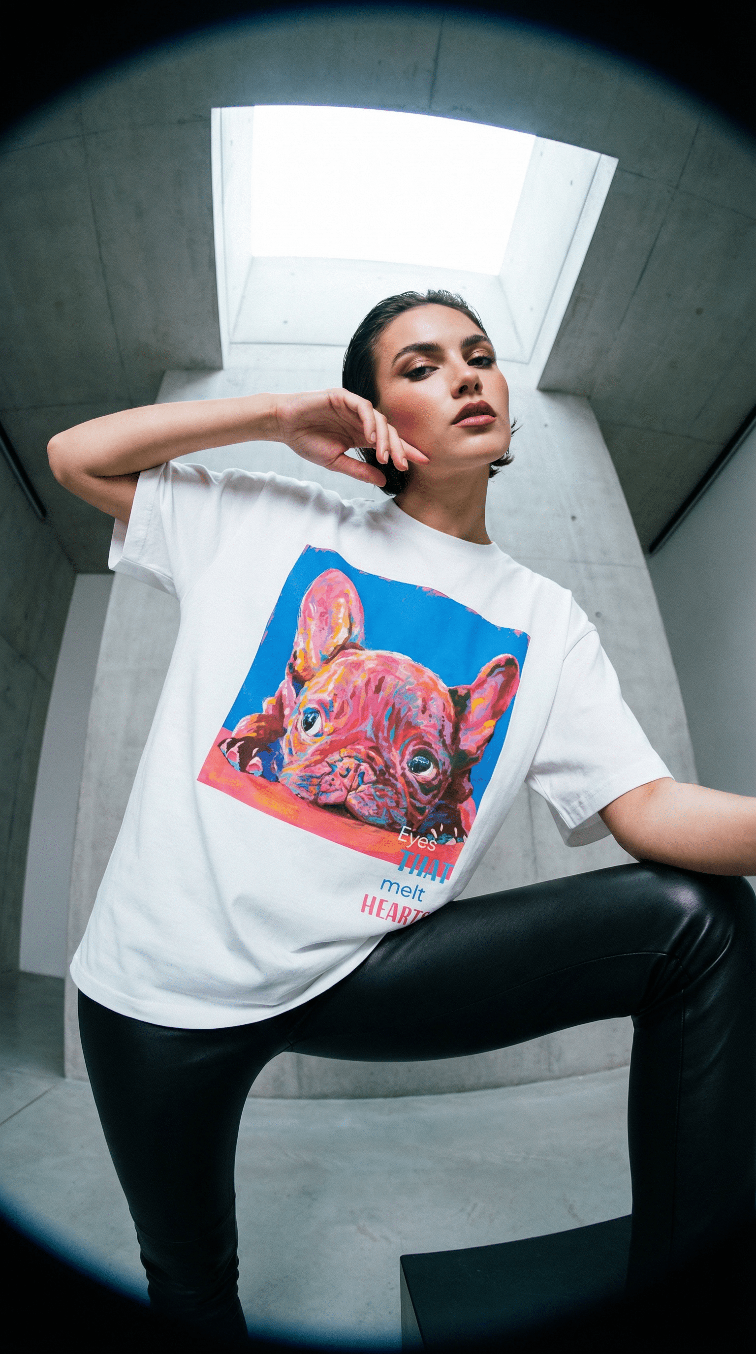 French bull W / SIGNATURE LABEL