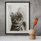 American shorthair 02 / Sketch limited printing