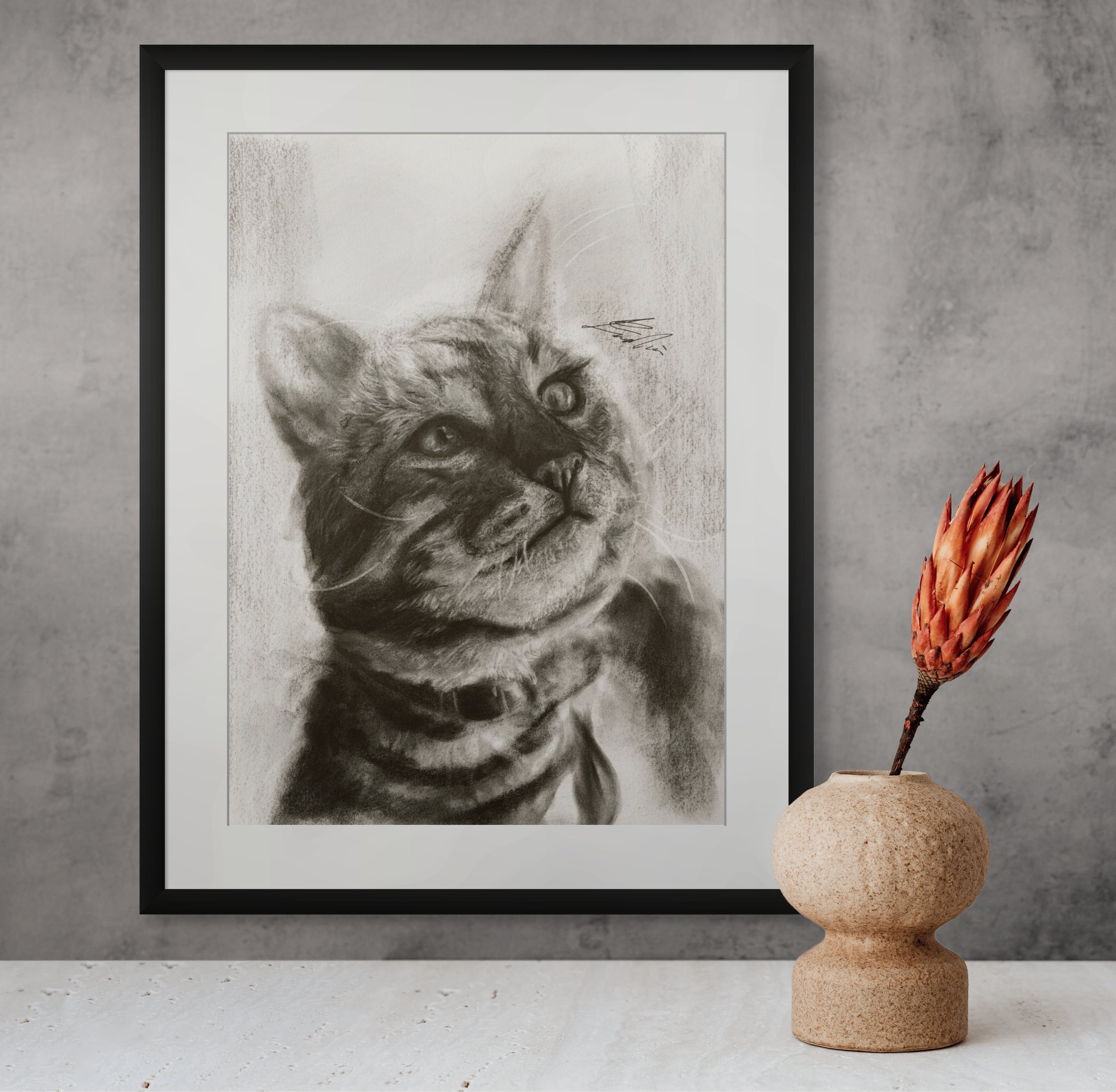 American shorthair 02 / Sketch limited printing