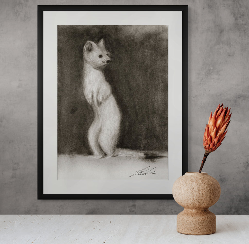 Ermine / Sketch limited printing