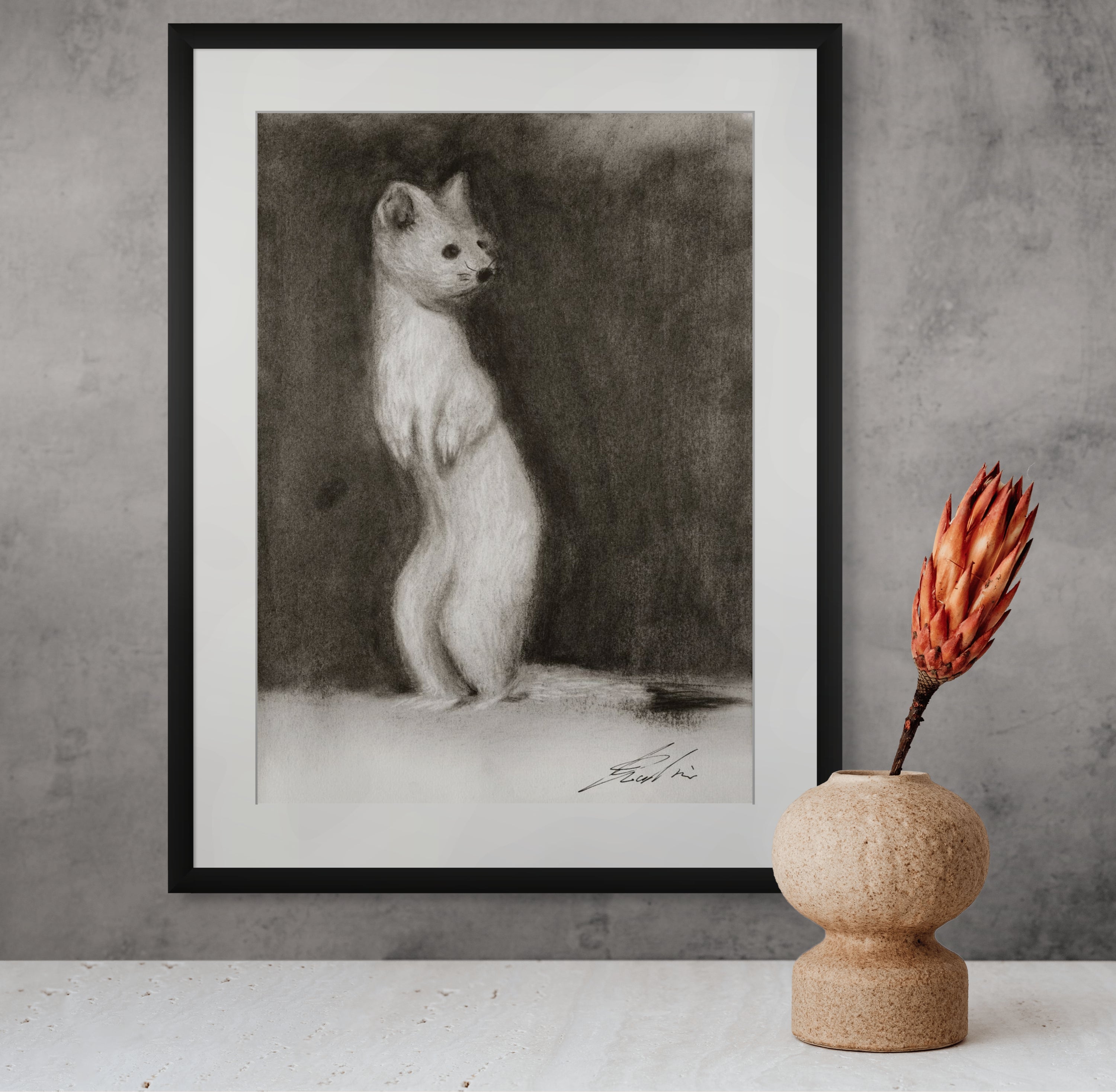Ermine / Sketch limited printing