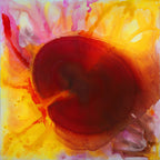 Gerbera  Yellow  - Ultimate Beauty -