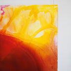 Gerbera  Yellow  - Ultimate Beauty -