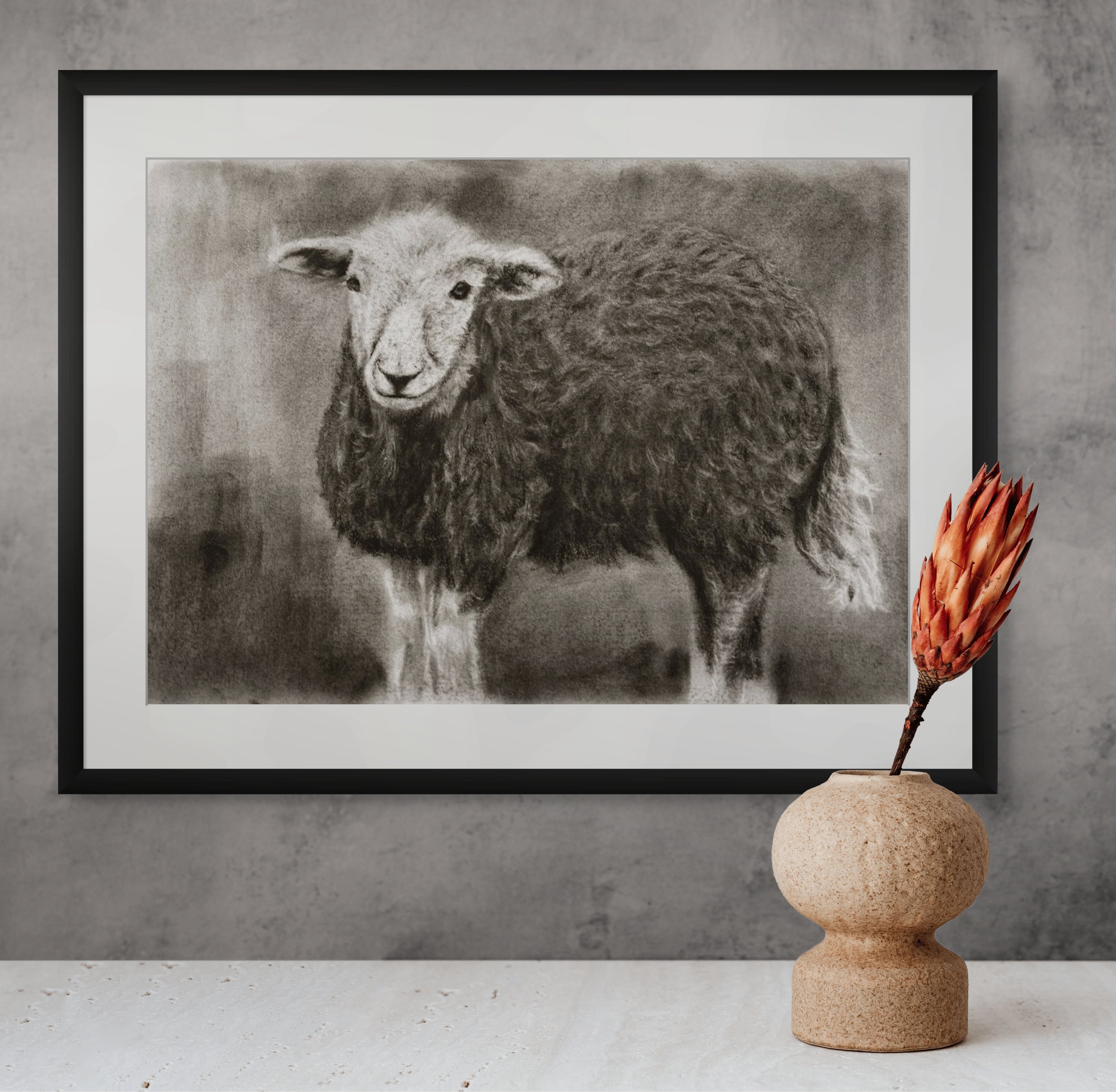 Herdwick sheep / Sketch limited printing