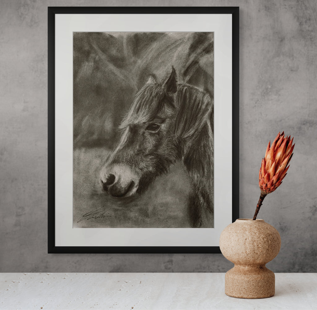 Horse 01 / Sketch limited printing