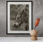 Horse 01 / Sketch limited printing