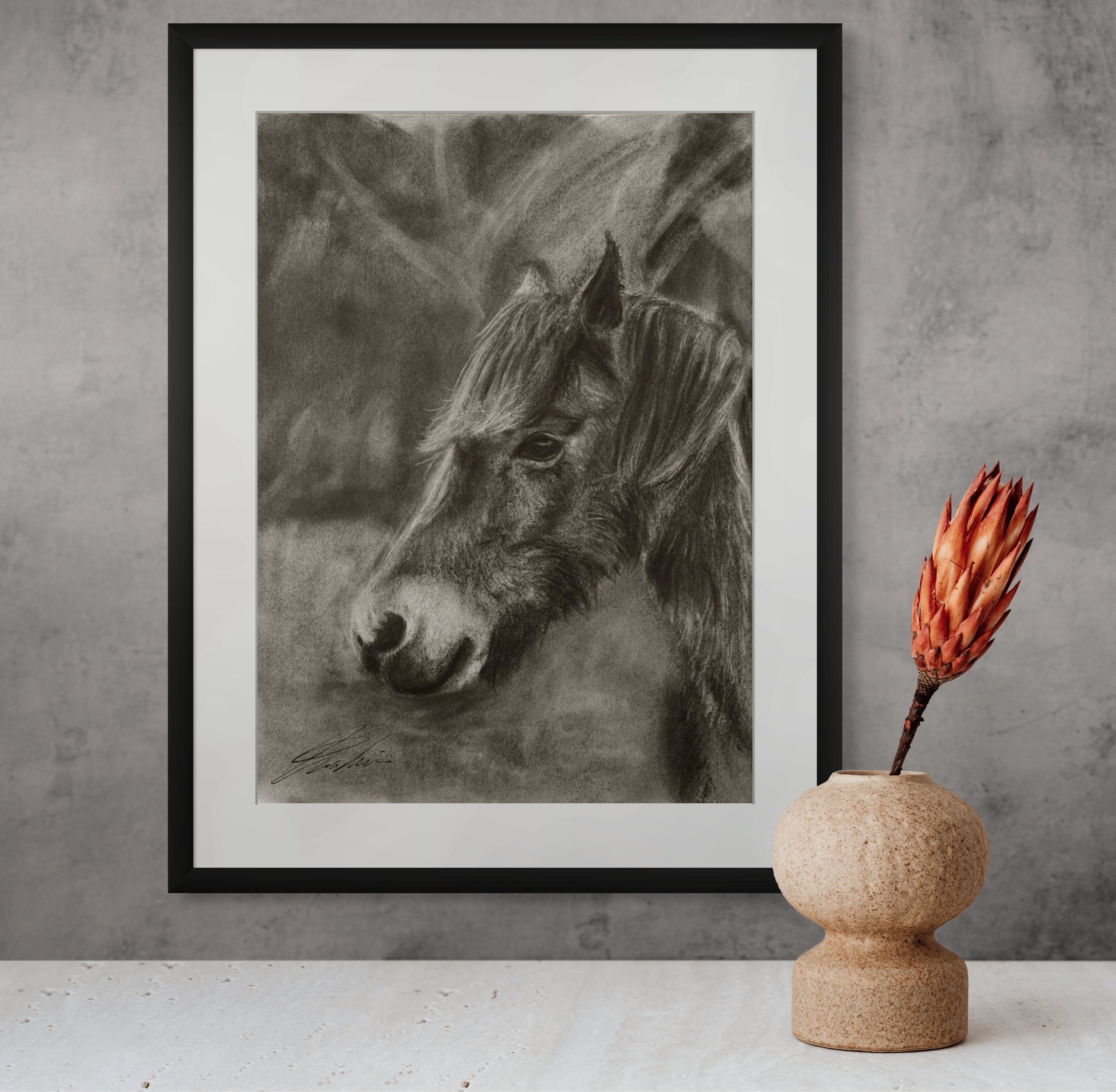 Horse 01 / Sketch limited printing