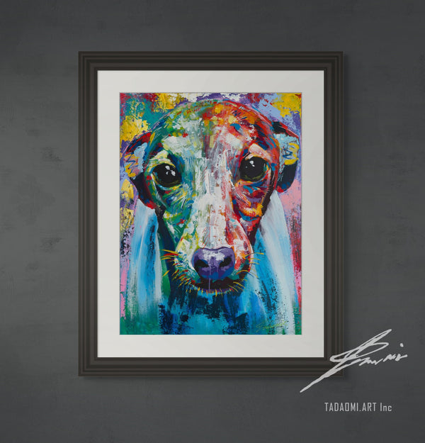 Italian greyhound 01 | Limited Edition Print