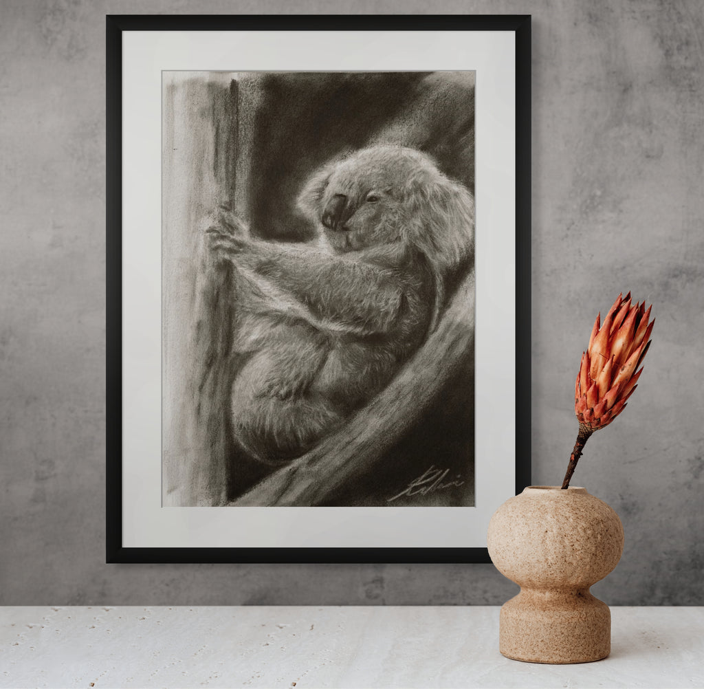 koala / Sketch limited printing