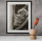koala / Sketch limited printing