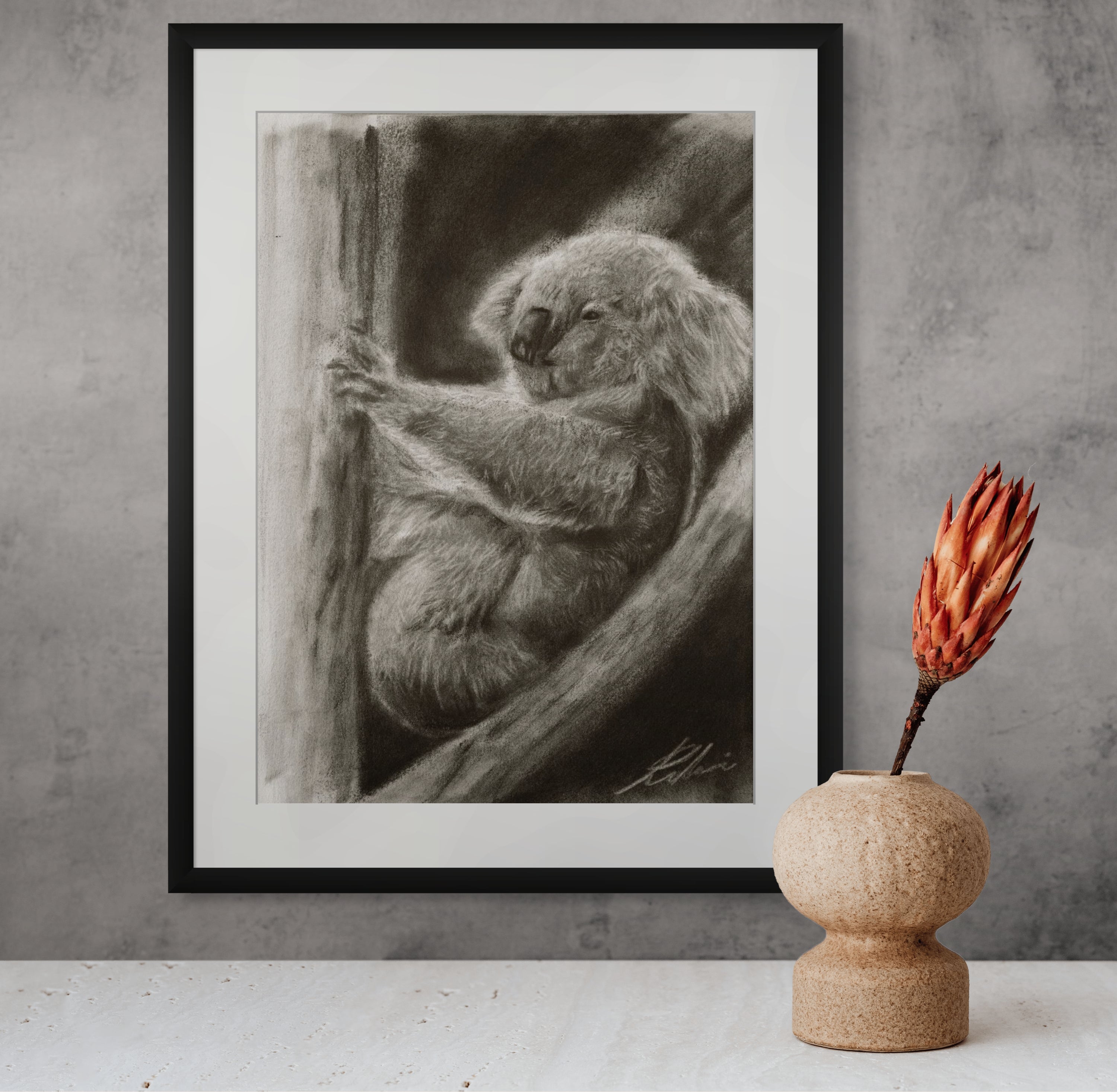 koala / Sketch limited printing