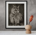 Owl / Sketch limited printing
