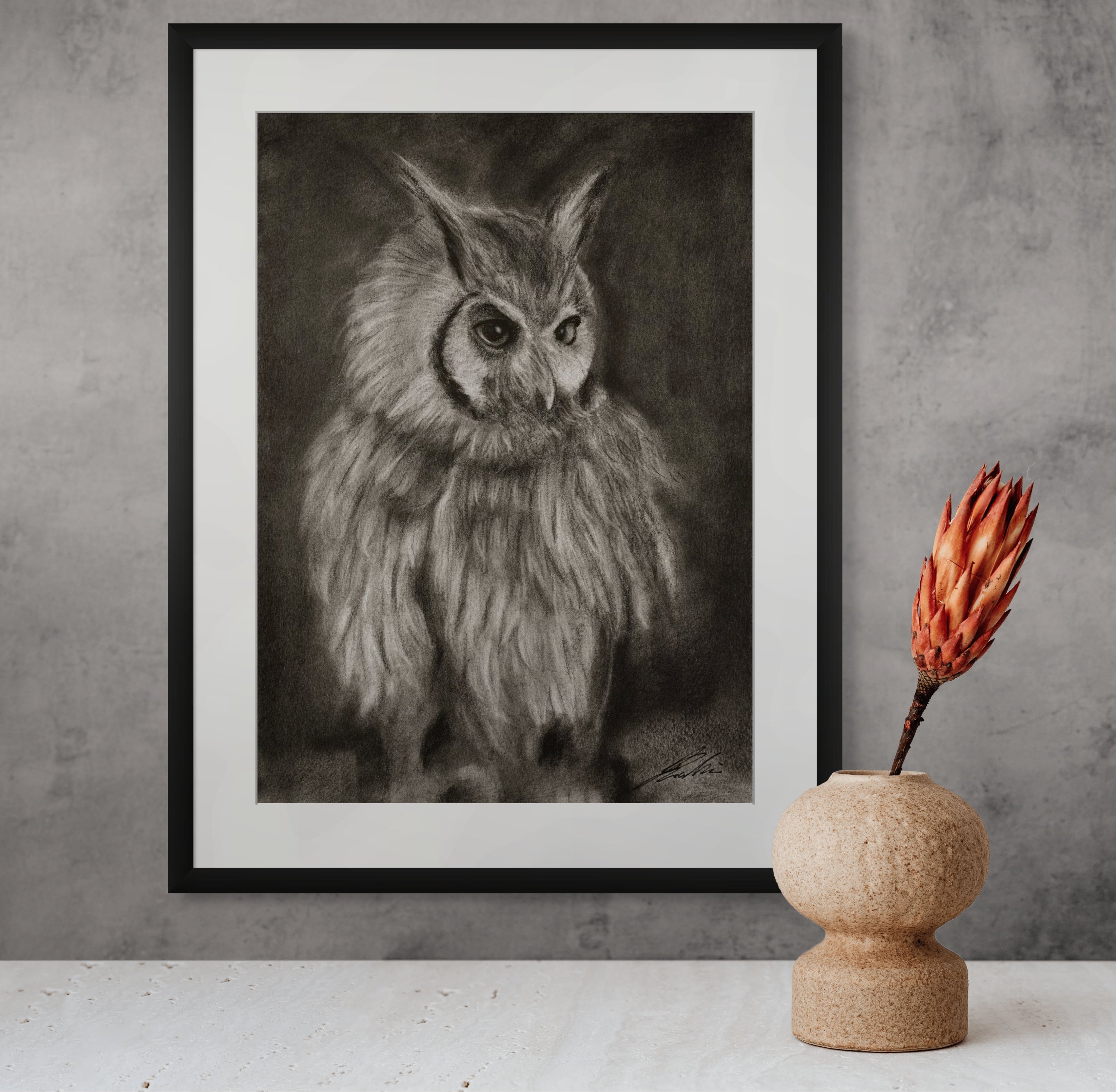 Owl / Sketch limited printing