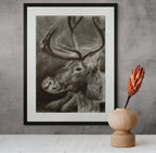Reindeer / Sketch limited printing