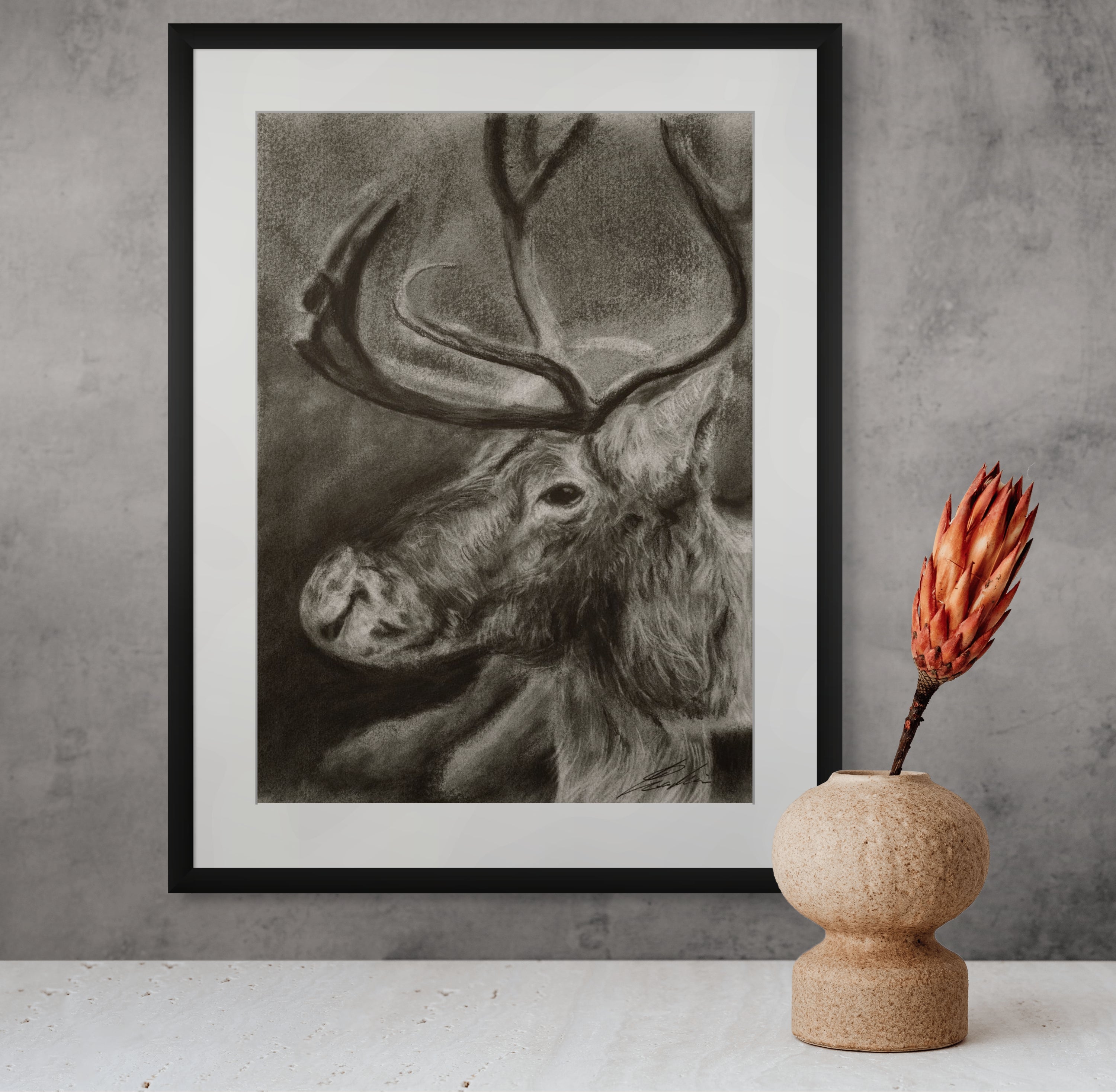 Reindeer / Sketch limited printing