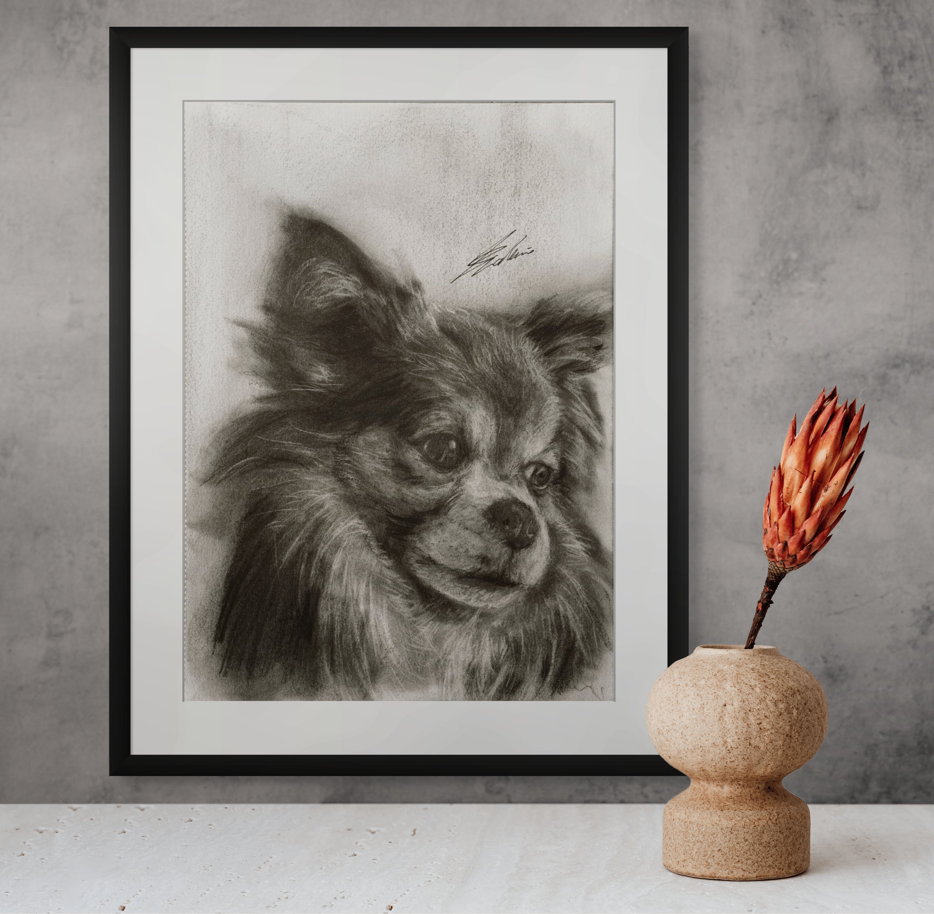 Chihuahua 02 / Sketch limited printing