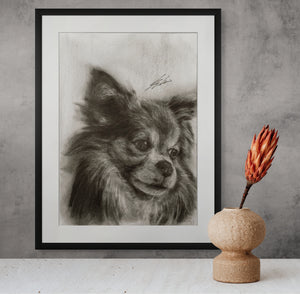 Chihuahua 02 / Sketch limited printing