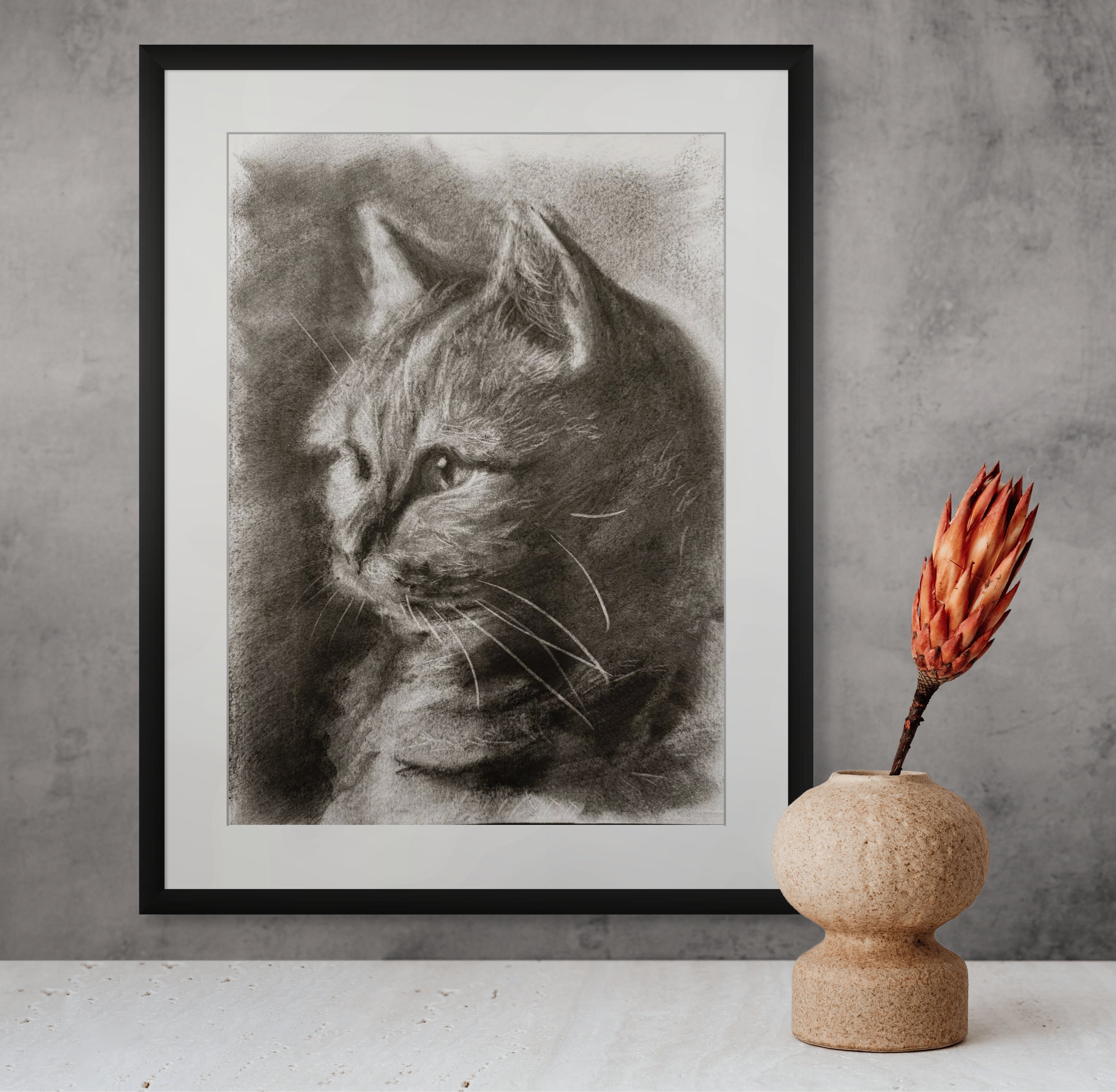 American shorthair 01 / Sketch limited printing
