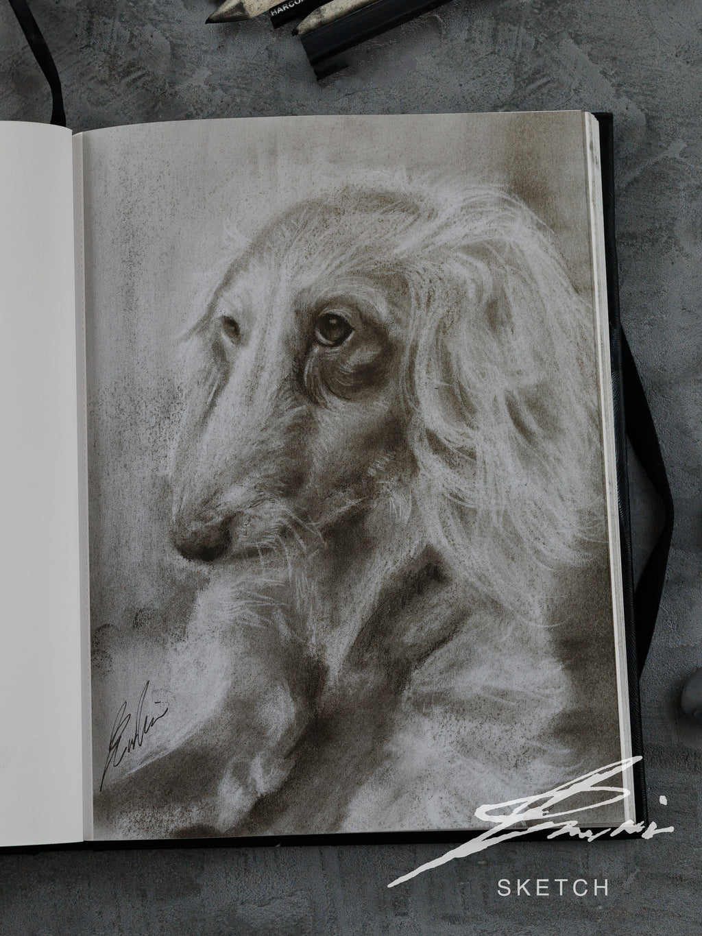 Miniature Dachshund 01 / Sketch limited printing