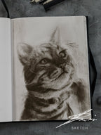 American shorthair 02 / Sketch limited printing
