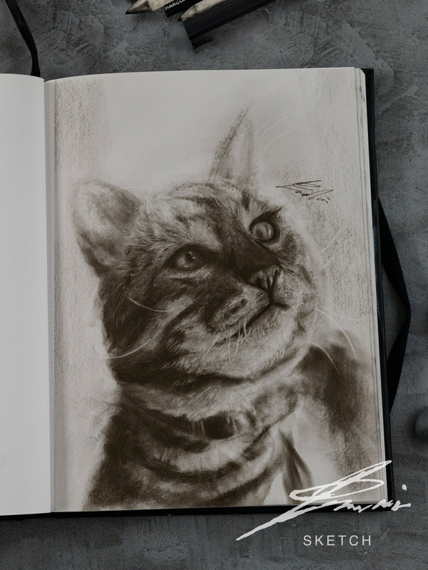 American shorthair 02 / Sketch limited printing