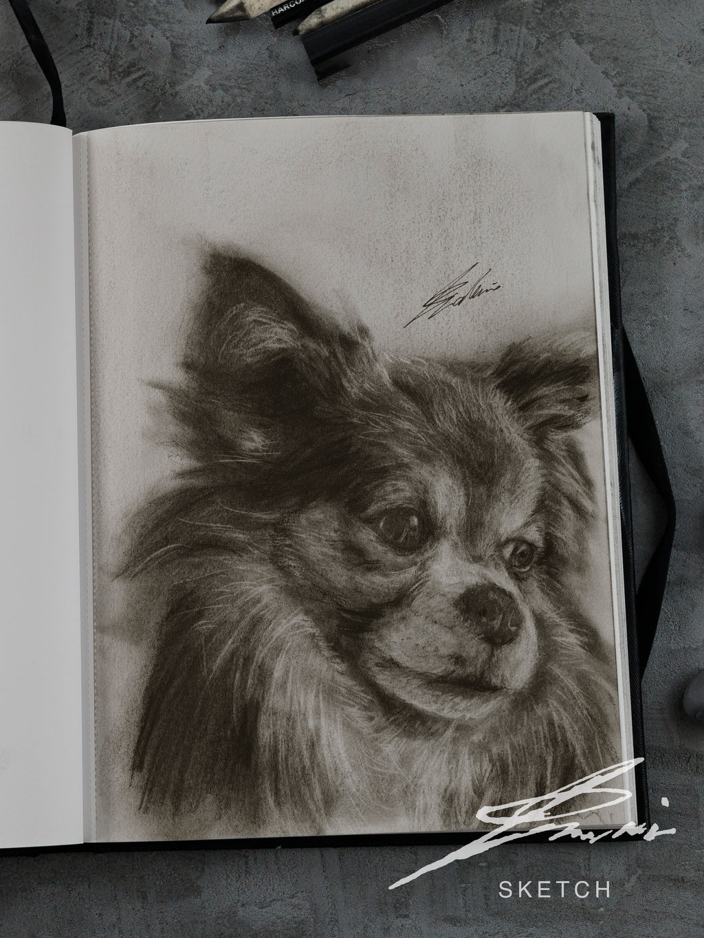 Chihuahua 02 / Sketch limited printing