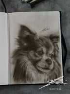 Chihuahua 02 / Sketch limited printing