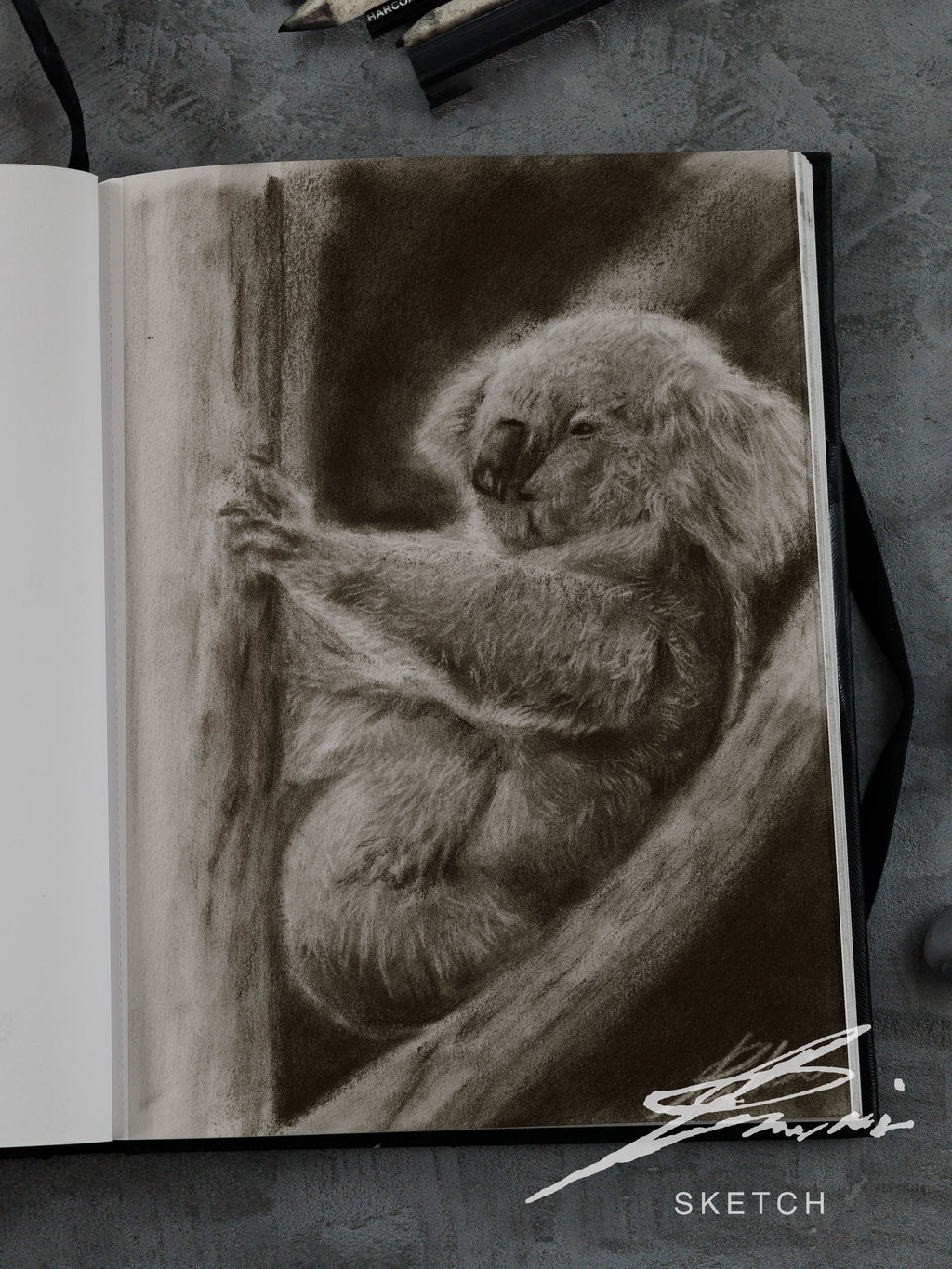 koala / Sketch limited printing